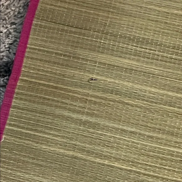 NWT Striped Beach Tote with Hot Pink Trim {flawed} - Picture 5 of 8